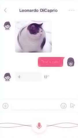 怎么攻击网站软件程序维护界面